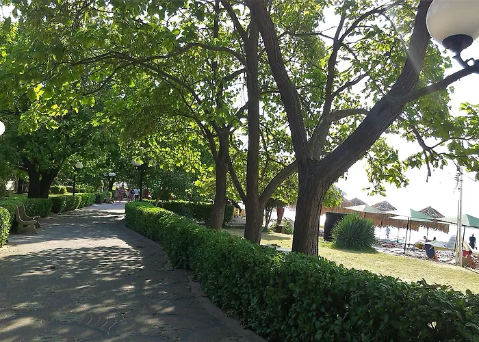 公寓 Menada Andalusia 埃勒尼特